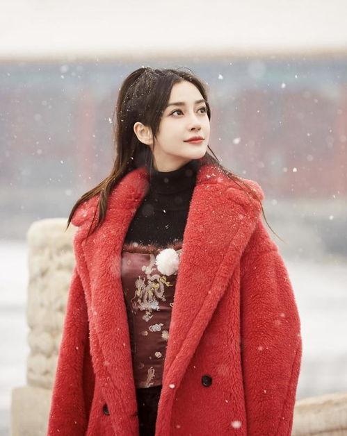 明星艺人被雪,明星艺人逆境崛起之路