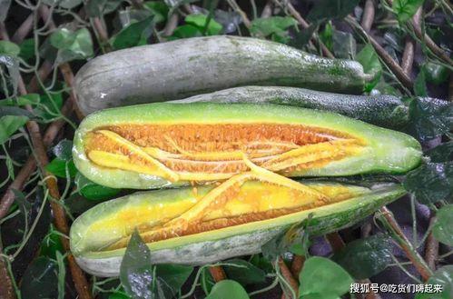 网红刘东天八卦吃瓜,八卦吃瓜背后的真相与争议