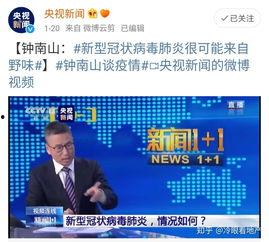 微头条日签怎么转,每日一语，深度解读