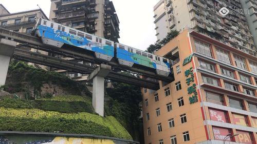 重庆洪雅网红,揭秘山城新晋打卡地背后的故事