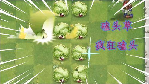 小蛙盘点新植物爆料视频,小蛙带你探索神秘植物世界