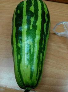 梦见摘瓜吃瓜啥意思啊女生,摘瓜吃瓜，女生心中的甜蜜寓意