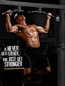 叶子 向上 肌肉猜明星,叶子上扬，揭秘这位明星的独特魅力