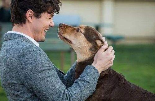 美国网红狗哥rap,带你领略潮流与幽默的碰撞