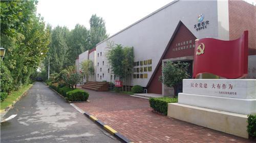 原阳网红路,探寻乡村振兴的璀璨明珠