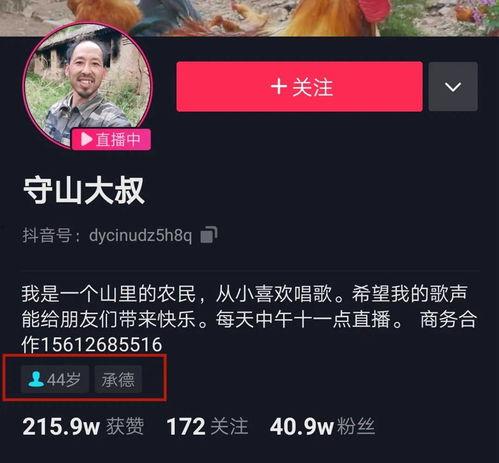 承德大叔今日头条视频,揭秘承德民间美食的独特魅力