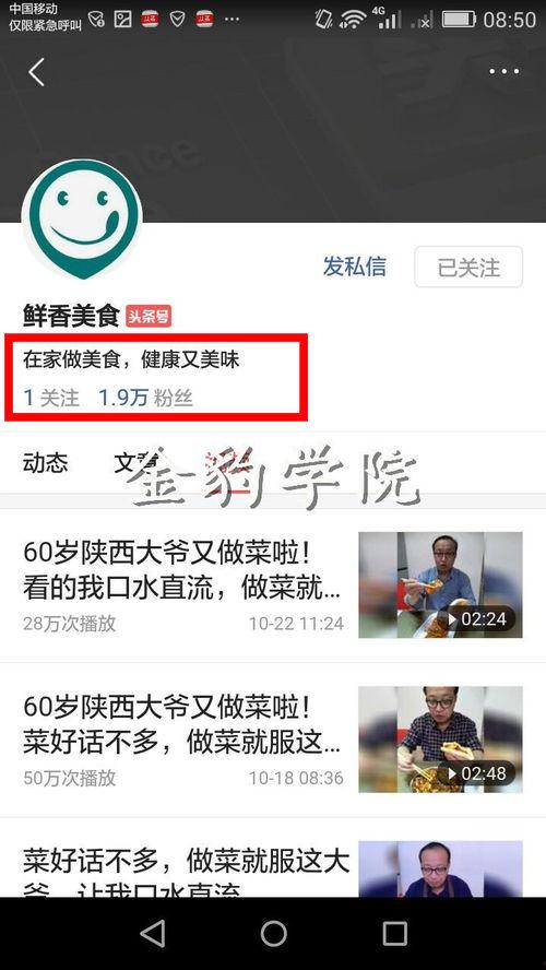 今日头条美食怎么写,探寻舌尖上的世界风味