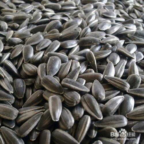 吃瓜好累有瓜子吗,轻松解压的休闲时光