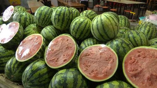 元哥吃瓜视频大全,揭秘娱乐圈幕后故事