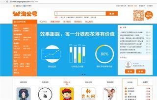 知名头条公众号排名,头条公众号排名背后的秘密与趋势