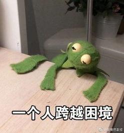 咸鱼公主吃瓜,咸鱼公主的瓜田奇遇记