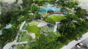 生态公园今日头条新闻,绿色奇迹绽放，探索自然与城市的和谐共生