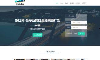 网红广告平台