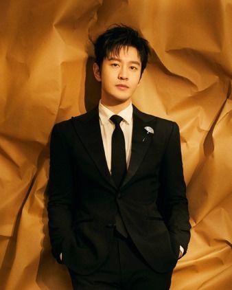 明星男演员内地,内地男演员的崛起之路