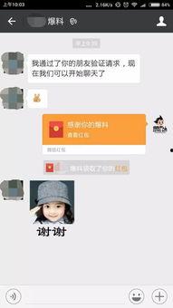 娱乐爆料文字号,揭秘文字号背后的明星幕后故事
