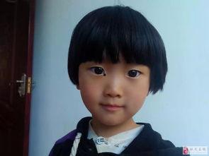 明星张 涵,璀璨星途，闪耀娱乐圈