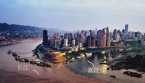 福鼎网红城市在哪里,探寻福建山水间的璀璨明珠