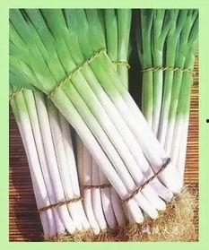 驻马店头条大葱价格