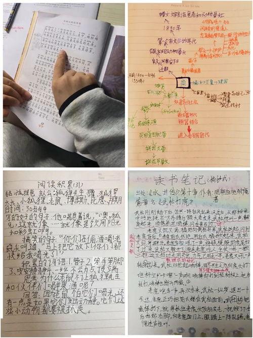 小蜜瓜小布当老师读后感,童趣盎然的师生情谊