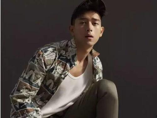 李什么乐明星,闪耀舞台的璀璨星辉