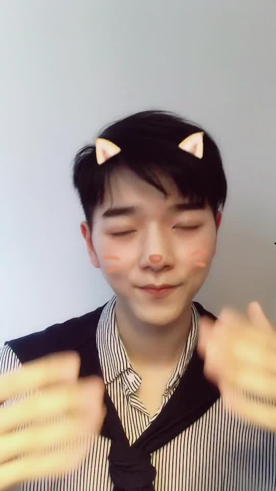 学猫叫男明星,魅力四溢，人气飙升