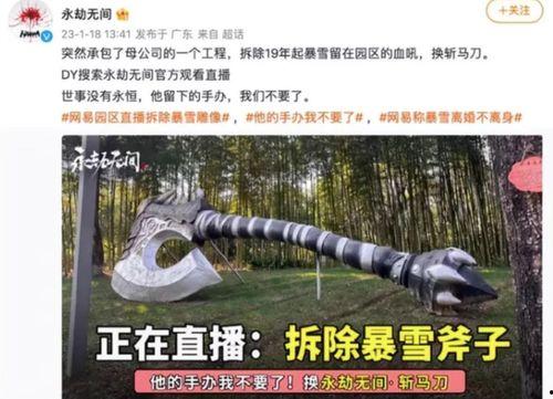 最新爆料暴雪事件是什么,揭秘最新爆料背后的真相与影响